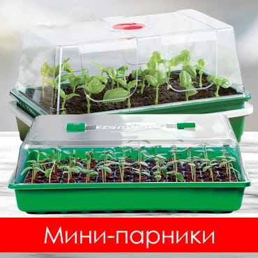 Парники для рассады